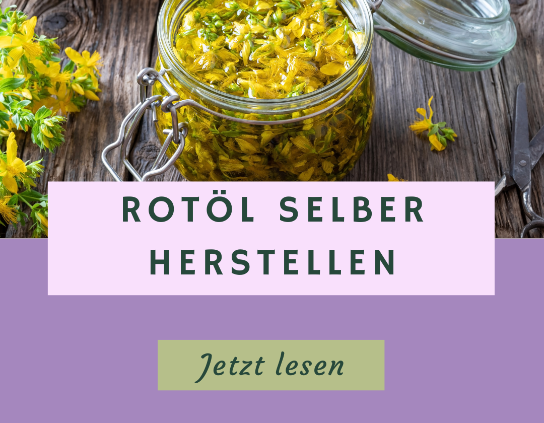 Johanniskraut-Öl selber herstellen