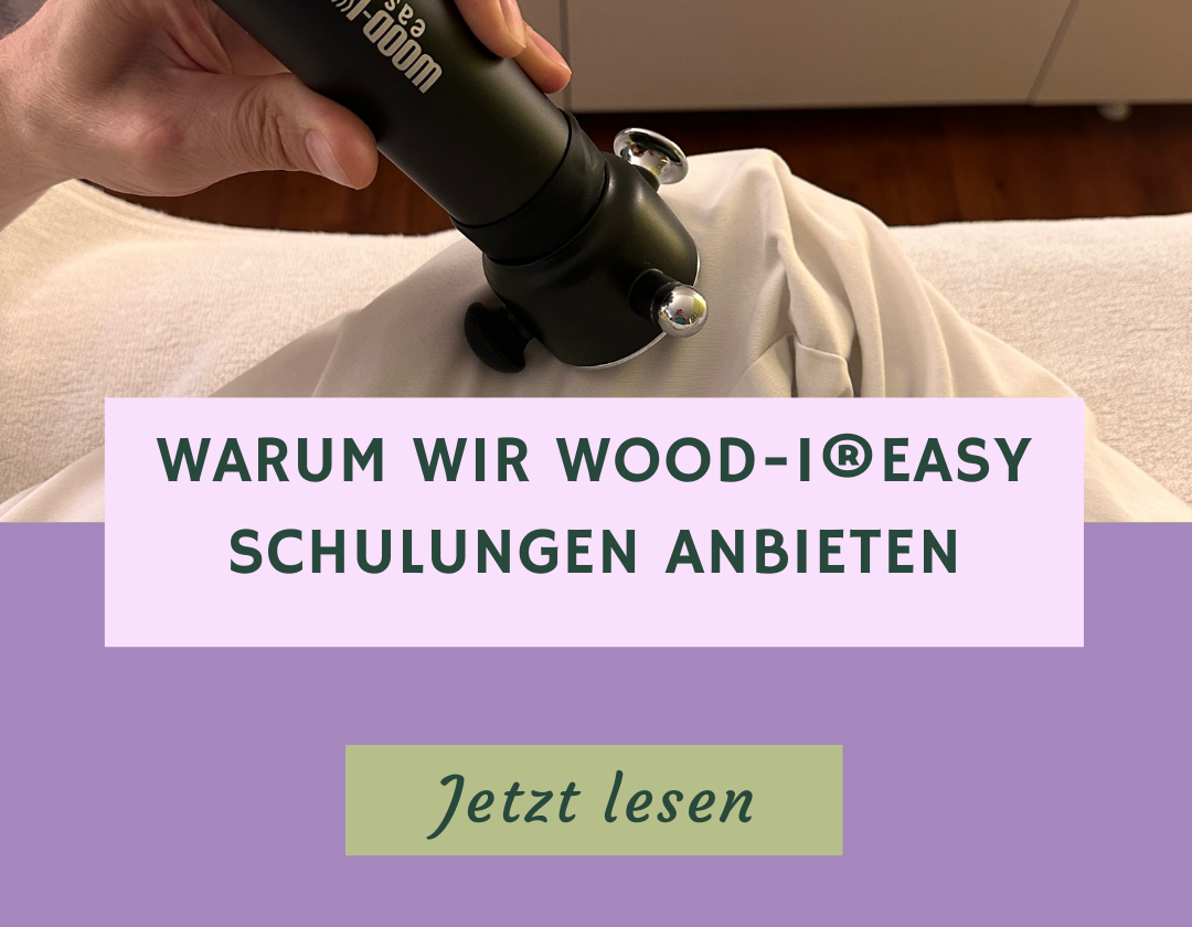 Warum Wood-i® Schulungen wichtig sind